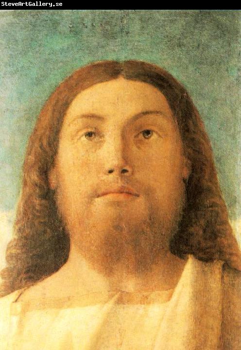 BELLINI, Giovanni Head of the Redeemer beg